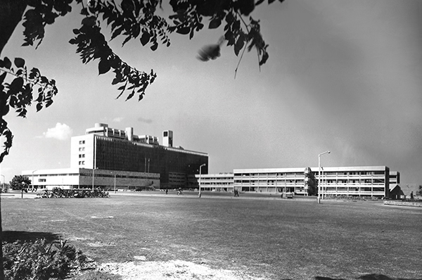 University Of Mumbai